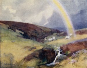 Die Quelle des Clyde