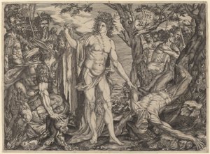 Apollo und Marsyas von Master MF