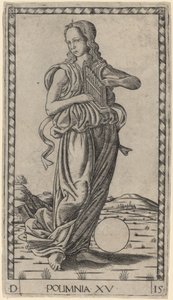 Polymnia