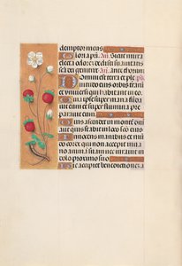 Stundenbuch der Königin Isabella der Katholischen, Königin von Spanien: Fol. 102v, ca. 1500 von Master of the First Prayerbook of Maximillian