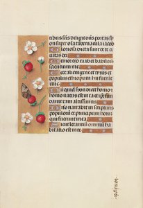 Stundenbuch der Königin Isabella der Katholischen, Königin von Spanien: Fol. 106v