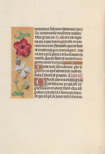 Stunden der Königin Isabella der Katholischen, Königin von Spanien: Fol. 111v