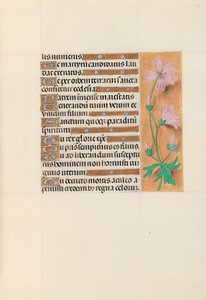 Stundenbuch der Königin Isabella der Katholischen, Königin von Spanien: Fol. 113r, ca. 1500 von Master of the First Prayerbook of Maximillian