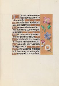 Stundenbuch der Königin Isabella die Katholische, Königin von Spanien: Fol. 133r
