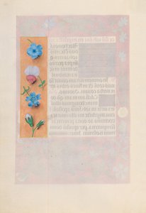 Stundenbuch der Königin Isabella der Katholischen, Königin von Spanien: Fol. 172v, c. 1500