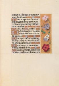 Stundenbuch der Königin Isabella der Katholischen, Königin von Spanien: Fol. 206r, ca. 1500