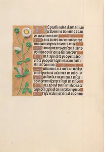 Stundenbuch der Königin Isabella der Katholischen, Königin von Spanien: Fol. 208v, ca. 1500 von Master of the First Prayerbook of Maximillian