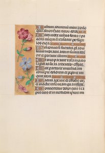 Stundenbuch der Königin Isabella der Katholischen, Königin von Spanien: Fol. 230v, um 1500