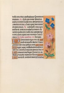 Stundenbuch der Königin Isabella der Katholischen, Königin von Spanien: Fol. 233r