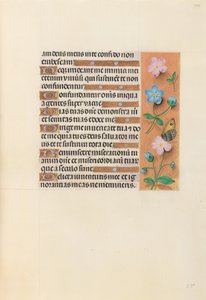 Stundenbuch der Königin Isabella der Katholischen, Königin von Spanien: Fol. 234r, ca. 1500