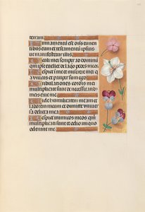 Stundenbuch der Königin Isabella der Katholischen, Königin von Spanien: Fol. 235r, ca. 1500 von Master of the First Prayerbook of Maximillian