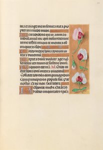 Stundenbuch der Königin Isabella die Katholische, Königin von Spanien: Fol. 237r, ca. 1500