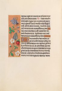Stundenbuch der Königin Isabella der Katholischen, Königin von Spanien: Fol. 238v, ca. 1500 von Master of the First Prayerbook of Maximillian