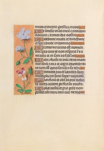 Stundenbuch der Königin Isabella der Katholischen, Königin von Spanien: Fol. 239v, um 1500