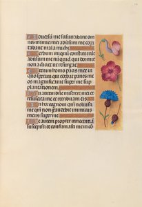 Stundenbuch der Königin Isabella der Katholischen, Königin von Spanien: Fol. 242r, ca. 1500 von Master of the First Prayerbook of Maximillian