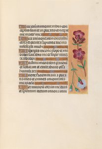 Stundenbuch der Königin Isabella der Katholischen, Königin von Spanien: Fol. 247r, ca. 1500 von Master of the First Prayerbook of Maximillian