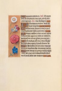 Stundenbuch der Königin Isabella der Katholischen, Königin von Spanien: Fol. 249v, ca. 1500 von Master of the First Prayerbook of Maximillian