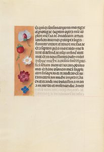 Stundenbuch der Königin Isabella der Katholischen, Königin von Spanien: Fol. 260v, Pieta