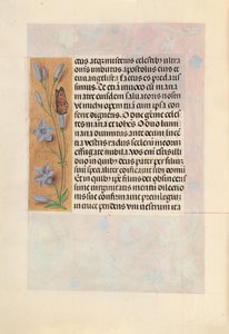 Stundenbuch der Königin Isabella der Katholischen, Königin von Spanien: Fol. 262v, ca. 1500 von Master of the First Prayerbook of Maximillian