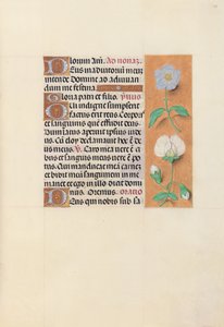 Stundenbuch der Königin Isabella der Katholischen, Königin von Spanien: Fol. 47r, ca. 1500 von Master of the First Prayerbook of Maximillian