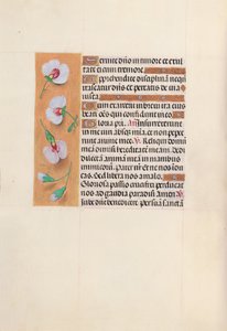 Stundenbuch der Königin Isabella der Katholischen, Königin von Spanien: Fol. 53v, ca. 1500