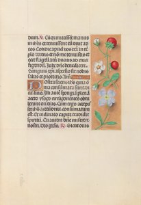 Stundenbuch der Königin Isabella der Katholischen, Königin von Spanien: Fol. 55r von Master of the First Prayerbook of Maximillian