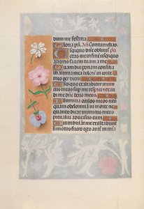 Stundenbuch der Königin Isabella der Katholischen, Königin von Spanien: Fol. 57v