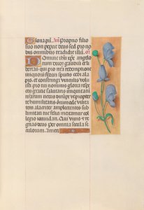 Stundenbuch der Königin Isabella der Katholischen, Königin von Spanien: Fol. 60r von Master of the First Prayerbook of Maximillian