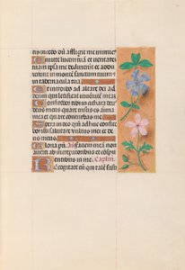 Stundenbuch der Königin Isabella die Katholische, Königin von Spanien: Fol. 62r, ca. 1500