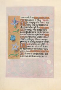 Stundenbuch der Königin Isabella die Katholische, Königin von Spanien: Fol. 69v, um 1500 von Master of the First Prayerbook of Maximillian