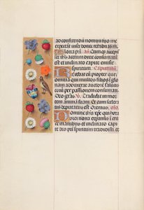 Stundenbuch der Königin Isabella der Katholischen, Königin von Spanien: Fol. 70v von Master of the First Prayerbook of Maximillian