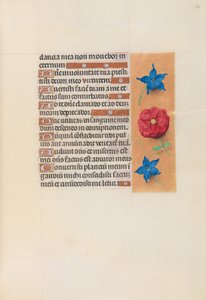 Stundenbuch der Königin Isabella der Katholischen, Königin von Spanien: Fol. 74r, ca. 1500