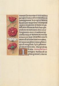 Stundenbuch der Königin Isabella der Katholischen, Königin von Spanien: Fol. 93v