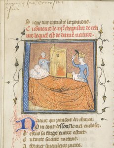 Miniatur aus einem Manuskript des Roman de la Rose von Guillaume de Lorris und Jean de Meun, ca. 1365 von Master of the Rose novels