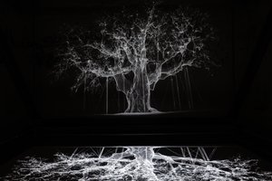 Albion von Mat Collishaw