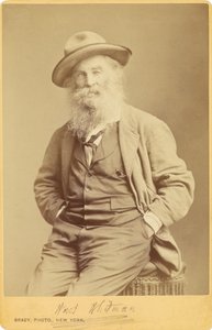  von Mathew B. Brady