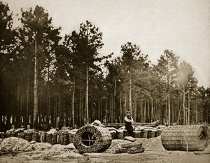 Herstellung von Gabionen vor Petersburg (1861-65) von Mathew B. Brady