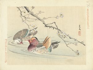 Zwei Enten (Blumen- und Vogelskizzen von Keibun - Teil eins) von Matsumura Keibun