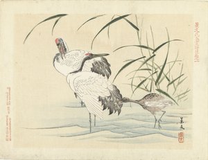 Zwei Kraniche mit Jungem von Matsumura Keibun