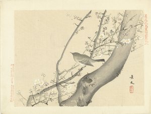 Vogel im Baum mit weißen Blüten Blumen- und Vogelskizzen von Keibun - Teil eins (Serientitel) Keibun kacho gafu zenpen (Serientitel auf Objekt)