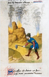 Le Livre des simples medecines - Übersetzung ins Französische aus dem lateinischen Manuskript des 12. Jahrhunderts von Matthaeus Platearius