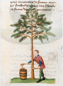 Le Livre des simples medecines