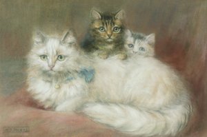 Eine Perserkatze und ihre Kätzchen