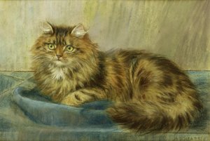 Perserkatze
