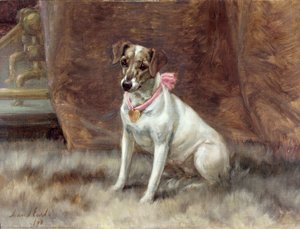 Die rosa Schleife, 1898
