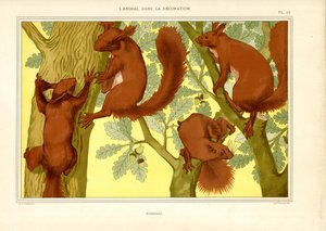 Eichhörnchen in einer Eiche von Maurice Pillard Verneuil