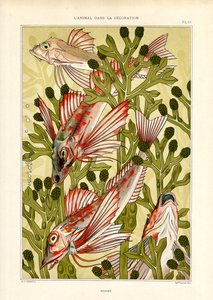 Stilisierte Fische unter Wasserpflanzen von Maurice Pillard Verneuil
