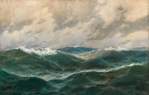 Marine