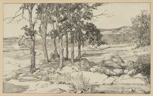 Landschaft mit Kiefernstand und Teich von Max Klinger