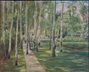 Die Birkenallee im Wannseegarten nach Westen